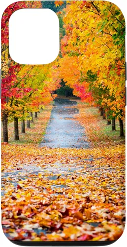 Vista 27 de iPhone 11 Otoño Hojas - Hermoso estuche de arboles