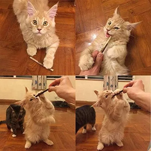 Vista 4 de 20 unidades de palitos de plata natural para Masticar Matatabi Varillas de dientes Molar Masticar Juguetes para la Limpieza de Dientes de Gato