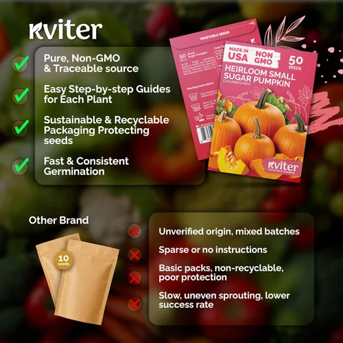 Vista 5 de KVITER 50 semillas de calabaza de azúcar orgánicas (Cucurbita Pepo) – Semilla de calabaza pequeña reliquia, carne dulce de grano fino para enlatar