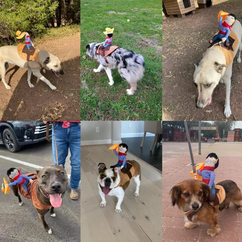 Vista 7 de iSmarten Disfraz de mascota para perro, traje para mascotas, traje de vaquero estilo jinete con muñeca y sombrero, disfraz para mascotas (S)