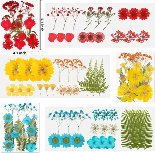 Vista 2 de Flores secas prensadas para resina, 103 piezas de flores secas naturales