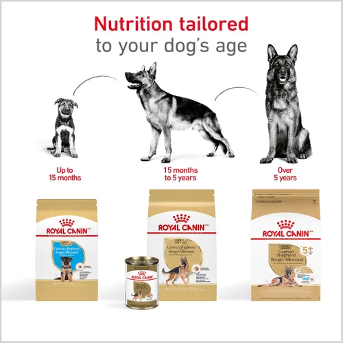 Vista 8 de Royal Canin Breed Health Nutrition - Alimento seco para perros pastor alemán, 2.5 libras