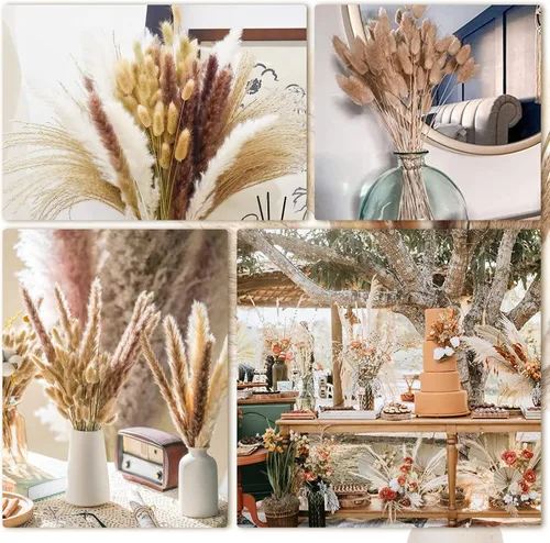 Vista 6 de DomeStar 130 piezas de hierba seca de las pampas a granel, decoración de otoño, hierba de cola de conejo natural de 18 pulgadas, ramo rústico