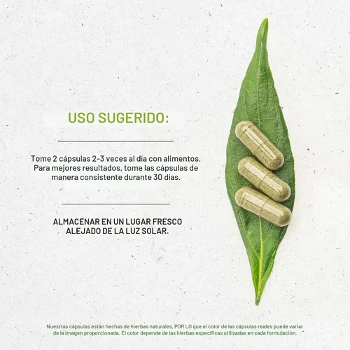 Vista 3 de Cacao 60 Cápsulas, 1000 mg, Cacao (Theobroma Cacao) Granos Crudos Secos (60 Cápsulas)