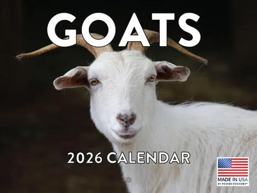 Vista 65 de Calendario mensual de pared de alpaca 2025 Fabricado en Estados Unidos