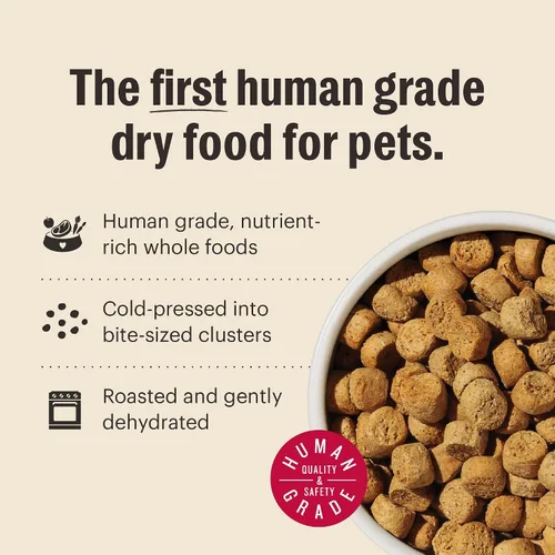 Vista 6 de The Honest Kitchen Alimento seco para perros de grano entero de pollo integral para cachorros, bolsa de 1 libra