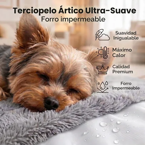 Vista 7 de Cama ortopédica para perros pequeños de 20 x 16 pulgadas, cama de espuma