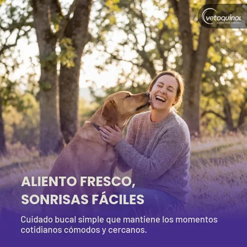 Vista 8 de Vetoquinol Dentahex - Enjuague de higiene bucal para mascotas, 8 onzas