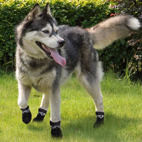 Vista 6 de PETLOFT Calcetines antideslizantes para perro, 4 piezas calcetines antideslizantes para interiores con correa de cierre desmontable ajustable