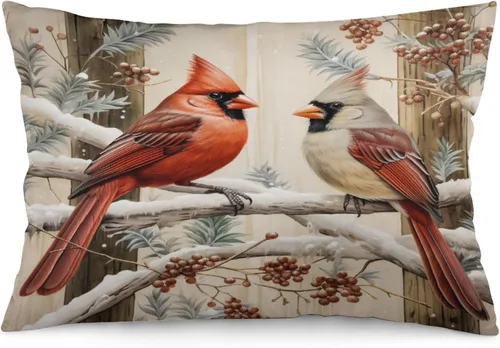 Vista 11 de Fundas de cojín decorativas para cama, diseño de pueblo de invierno, escena de invierno, con una casa victoriana en un entorno nevado, fundas