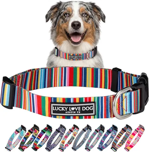 Vista 69 de Lucky Love Dog - Collar de perro ajustable con hebilla de fácil clic para los pequeños, duradero y cómodo para perros machos y hembras, collar