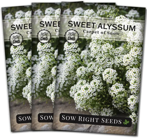 Vista 8 de Sow Right Seeds - Alfombra blanca de semillas de flores de nieve Sweet Alyssum para plantar - Paquete de reliquia sin OMG con instrucciones