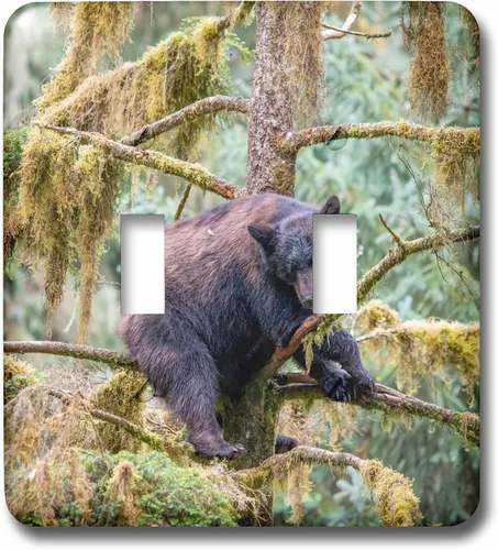 Vista 3 de 3dRose Black bear cub finds safety in a tree at Anan Creek. 2 plug outlet cover
