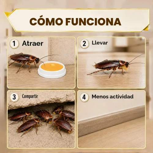 Vista 4 de Mantén las cucarachas alejadas en interiores y exteriores, las cucarachas