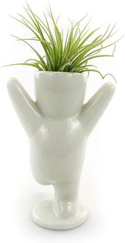 Vista 7 de NW Wholesaler Maceta de cerámica blanca con forma de persona feliz de 3.25 pulgadas con planta de aire Tillandsia viva, plantas de aire