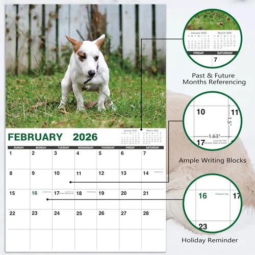 Vista 3 de Gag Gifts - Calendario 2021, calendario de pared, perros haciendo popo, para regalos de broma, enero a diciembre del 2021, 28 x 43.18 cm
