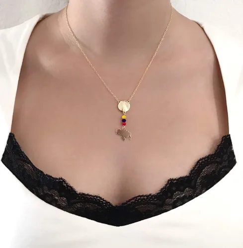 Vista 3 de Collar con mapa de Venezuela Medalla Virgen del Valle