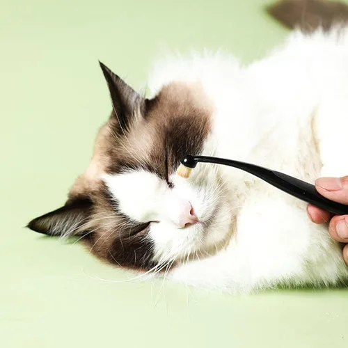 Vista 7 de Cepillo aplicador profesional para perros y gatos, removedor de manchas de lágrimas con cerdas largas lavables y mango ergonómico