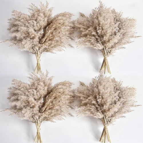 Vista 13 de Zacate de las Pampas Negro para Decoración del Hogar - Elegante Decoración Boho - Tallos de Alta Calidad de Zacate de las Pampas - Perfecto
