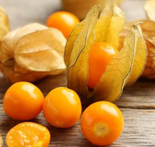 Vista 5 de Más de 200 Semillas Fresa Cereza Molida - Physalis - Naranja Vegetal