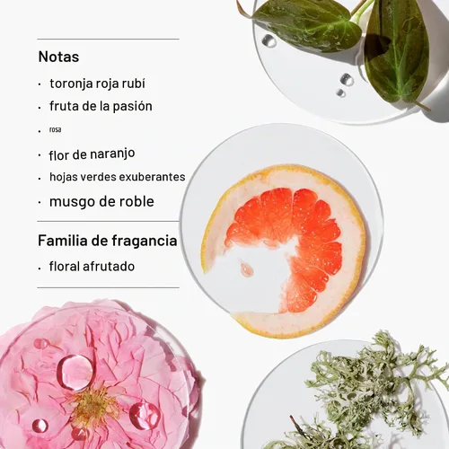 Vista 2 de Clinique Calyx Eau de Parfum Spray Notas de pomelo rojo rubí + guayaba Perfumes para mujer, 1.7 onzas líquidas
