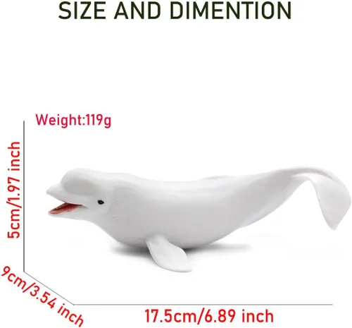 Vista 3 de Figura de ballena Beluga realista sólida, criatura marina del océano blanco, juguete educativo de aprendizaje para niños y niños pequeños 01 Beluga