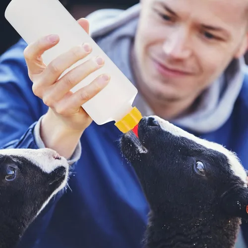 Vista 5 de Cabilock 5 sets de cordero biberón niño ganado bebida botella jarra bebé cabra ternero leche botella de agua botellas mascotas animales botella