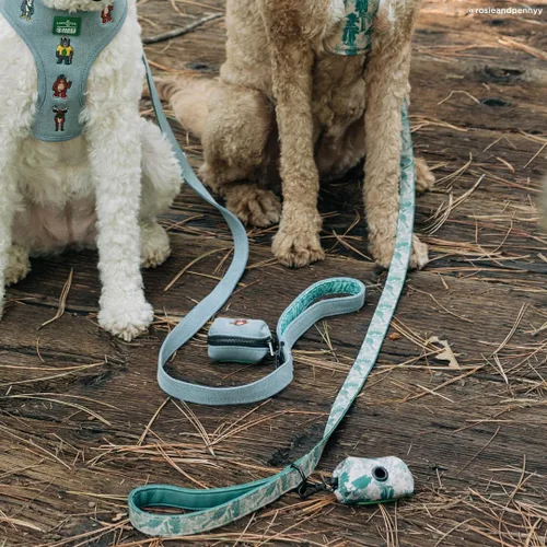 Vista 5 de Lucy & Co. x Parks Project Adventures with Friends - Correa para perro, talla S Aventuras con amigos