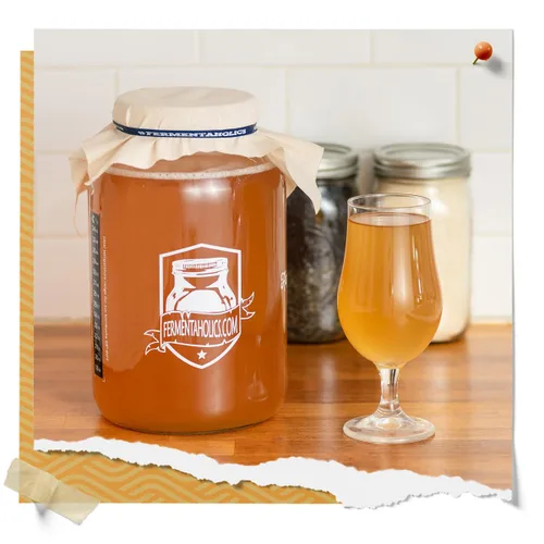 Vista 6 de Fermentaholics Kombucha SCOBY ORGÁNICO con doce onzas de té de iniciación – Cultivo de inicio en vivo – hace un lote de un galón – 1.5 tazas de té
