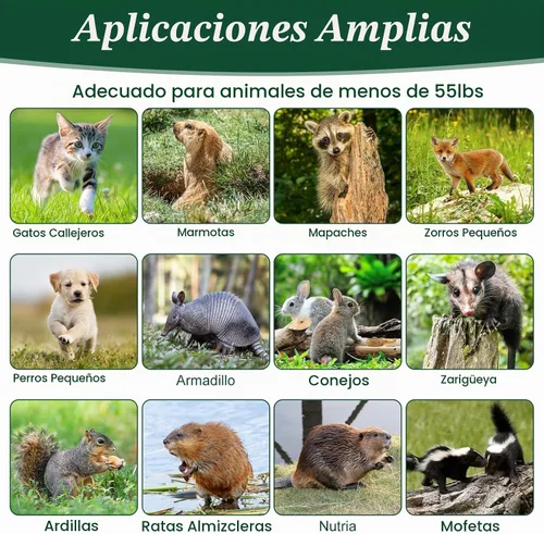 Vista 4 de Trampa para animales humanos, trampas plegables grandes de jaula viva de 37