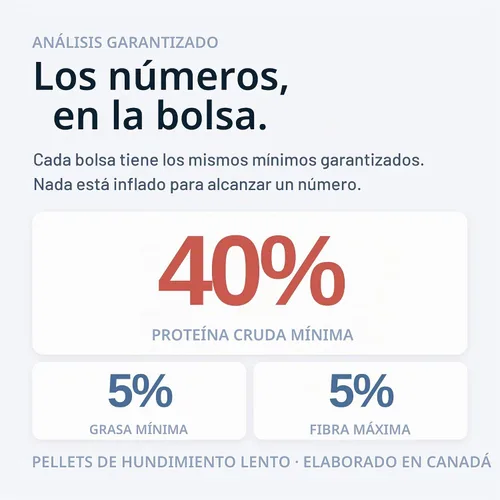 Vista 5 de Northfin Community Fish Food, pellets de hundimiento lento, 0.02 in, 3.53