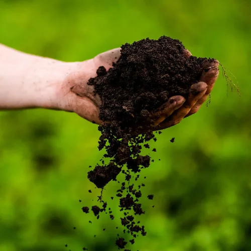 Vista 6 de Zero Waste USA - Bolsas compostables para la estación de residuos de perros - 20 cabezales (2,000 bolsas) - Los biopolímeros a base de plantas se