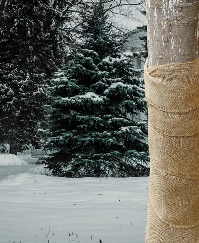 Vista 7 de Envolturas protectoras de árbol de arpillera natural, 40 pulgadas x 20 pies, protector de tronco de árboles, mantas de plantas de heladas