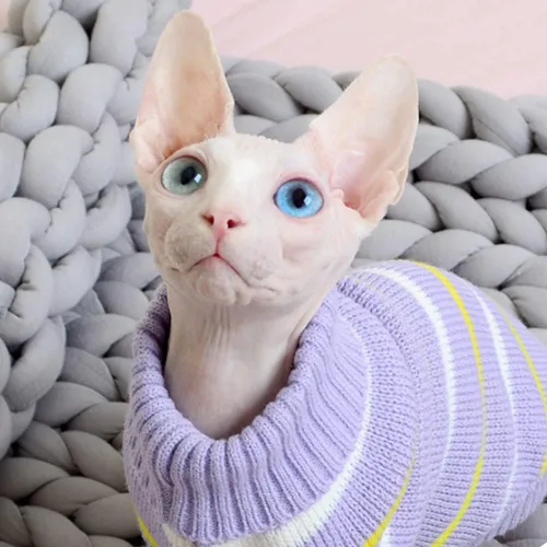 Vista 3 de Ropa para gatos para mascotas, ropa para gatos sin pelo, ropa de gatito de cuatro patas de alta elasticidad Ropa para el hogar