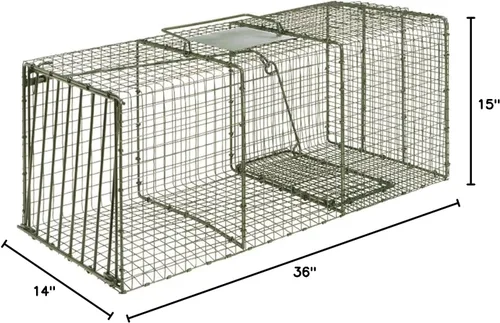 Vista 2 de Jaula trampera extra grande resistente, Duke Traps