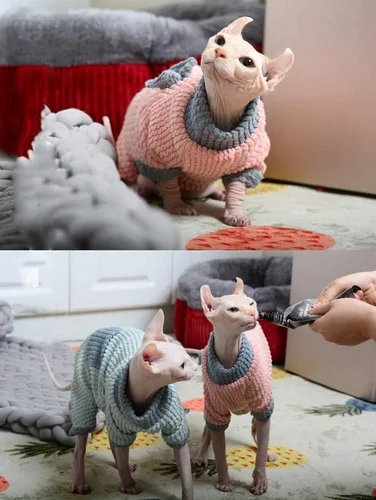 Vista 8 de Ropa para gatos sin pelo, suéter de algodón, transpirable, otoño e invierno, ropa cálida para gato, chaleco de cuello alto, ropa para Sphynx