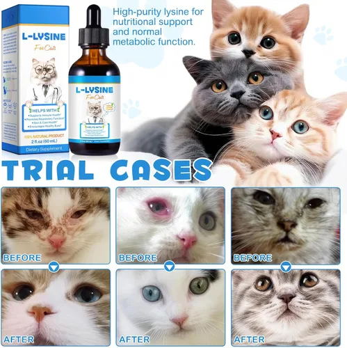 Vista 6 de NIFEISHI Suplemento líquido de L-lisina para gatos, para salud respiratoria, estornudos, secreción nasal y cuidado de los ojos, para gatos de todas