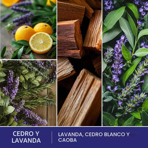 Vista 2 de ScentSationals Cera perfumada de cedro y lavanda para derretir 10 onzas (24 cubos) Lavanda, cedro blanco y caoba fragancia de larga duración se