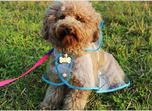 Vista 3 de Impermeable para mascotas, ropa impermeable para perros pequeños, chaqueta de lluvia para cachorros, poncho transparente, ropa de lluvia para perros