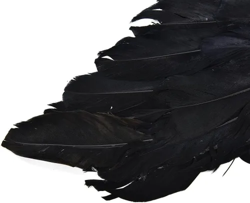 Vista 5 de PGXT - Disfraces de fiesta de Halloween, alas de ángel