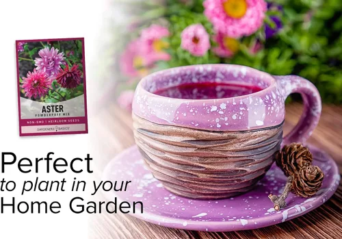 Vista 4 de Gardeners Basics Aster Powderpuff Mix Semillas de flores