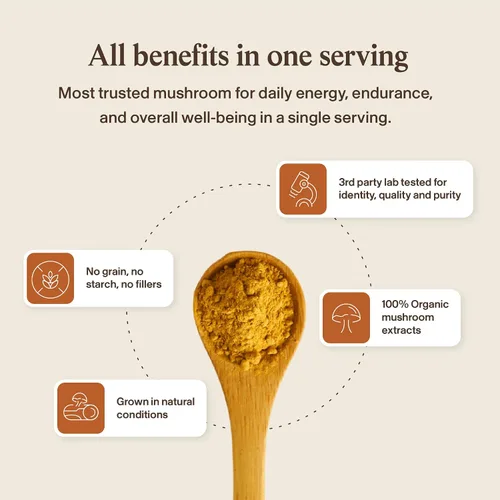 Vista 7 de Real Mushrooms Polvo de Hongos Cordyceps - Polvo de Cordyceps Orgánico Apoyo para Energía y Bienestar de Hongos - Rico en Beta Glucanos - Suplemento