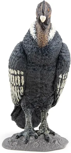 Vista 4 de Papo - Figura realista de cóndor - A partir de 3 años - Colección Wild Life - Juego educativo de aves de presa - Juguete de idea de regalo