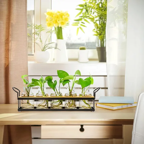 Vista 5 de THYGIFTREE Estaciones de propagación de plantas con soporte de metal, terrario de plantas de mesa para propagación hidropónica, maceta de vidrio