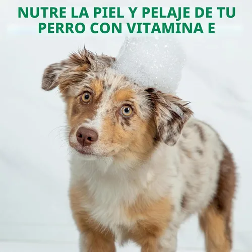 Vista 6 de Hartz Nature's Shield - Champú para perros Flea & Tick Protección botánica maximizada y prevención con aceites de canela, citronela y romero, 14