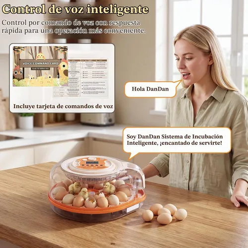 Vista 4 de Incubadora de 26 huevos con control de voz inteligente y control automático de temperatura/humedad