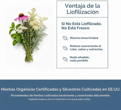 Vista 5 de Hierba ecléctica, cápsulas concentradas de apoyo hepático, desintoxicación, 45 CT, 400 mg