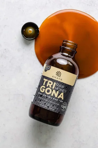 Vista 3 de Anaya Miel de Trigona 100% pura y cruda (miel de abeja melipona sin aguijón) - Sin filtrar, cultivada orgánicamente, sin OMG, sin alimentación