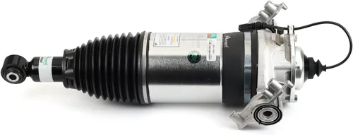Vista 4 de Arnott - Posterior Teniente Eibach Air Strut-11-18 Porsche Cayenne (92A) (AS-3167)