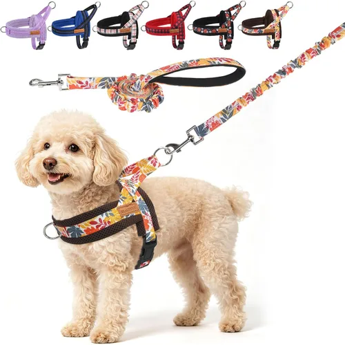Vista 45 de BEAUTYZOO Arnés para Perros Pequeños, Juego de Arnés y Correa sin Tirones, Arnés de Pecho para Cachorros a Prueba de Escapes con Mango, Arnés Beige